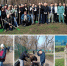Коллектив МФЦ Воронежской области принял участие в общегородском субботнике - МФЦ