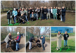 Коллектив МФЦ Воронежской области принял участие в общегородском субботнике