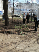 ВГАС присоединилась к общегородскому субботнику фото 6