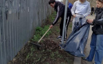 ВГАС присоединилась к общегородскому субботнику фото 4