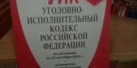 Воронежский Следком проверит информацию о нападениях собак на жителей Отрадного - Комсомольская Правда