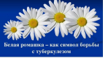 Итого круглого стола на тему «День «белой ромашки» 20 апреля – исторический предшественник Всемирного дня борьбы с туберкулёзом»