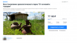 В Воронежской области сотрудники «Дивногорья» начали сбор денег на ремонт сгоревшего парка