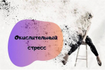 Итоги второй ежегодной научно-практической конференции студентов  «Окислительный стресс»