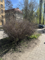 Бойцы студенческих отрядов нашего университета приняли участие субботнике
