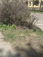 Бойцы студенческих отрядов нашего университета приняли участие субботнике