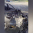 Воронежцы сняли на видео пылающий Mercedes-Benz дрифтеров - РИА Воронеж