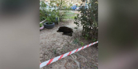 Во дворе на Ленинском проспекте в Воронеже провалился грунт - РИА Воронеж