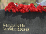 Итоги II межвузовской студенческой научно-практической конференции «Эффекты радиационных катастроф и их проявления на морфоклиническом уровне»