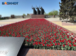 От кровавой битвы до проверки Бастрыкина: как сегодня выглядит место, где начался «Малый Сталинград»