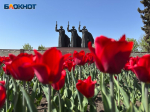 От кровавой битвы до проверки Бастрыкина: как сегодня выглядит место, где начался «Малый Сталинград»