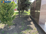 Последствия чиновничьего субботника показали на фото в Воронеже