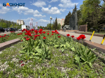 Последствия чиновничьего субботника показали на фото в Воронеже