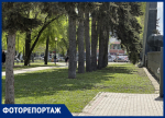 Последствия чиновничьего субботника показали на фото в Воронеже
