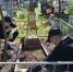 Воробьевские школьники взяли шефство над захоронением учительницы - РИА Воронеж