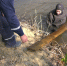 Водолазы начали проверку дня воронежских водоёмов в районе пляжей - ГТРК Воронеж