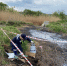Ущерб почвам почти на 2 млн рублей нанесло воронежское предприятие - Bloknot-Voronezh.Ru