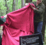 Памятный знак на месте окопов времен ВОВ установили в лесном массиве Грибановского района - РИА Воронеж