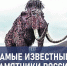 Тест: самые известные памятники в России. Угадай, в каких городах они находятся - TV-Gubernia.Ru