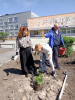 Накануне Дня Победы в Северодонецке высадили воронежские розы