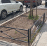 Новые клумбы в Воронеже сравнили с могильными оградками - Bloknot-Voronezh.Ru