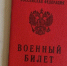 Еще 65 уклонистов из числа экс-мигрантов поставили на воинский учет в Воронежской области - Обозреватель.Врн
