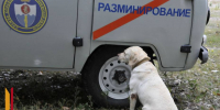 Власти прокомментировали работу взрывотехников под Воронежем - РИА Воронеж