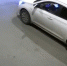 Забавная ситуация попала на видео в Воронеже - Bloknot-Voronezh.Ru