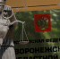 Обвиненной в сожжении тела мужа нотариусу из Воронежа отменили приговор - РИА Воронеж