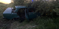 В Воронежской области пьяный водитель «пятерки» врезался в дерево, трое ранены - Комсомольская Правда