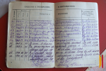 «Генералам нравились мои пирожки и щи из квашеной капусты»: повар из Воронежа Александра Филипцова отметила столетний юбилей
