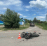 16-летний мотоциклист погиб в ДТП с иномаркой в воронежском селе - Комсомольская Правда