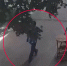 Прохожий чудом уцелел при падении дерева в центре Воронежа - ГТРК Воронеж