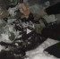 Появилось видео задержания готовившего подрыв воронежского военнослужащего агента ГУР - Обозреватель.Врн