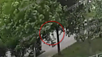 Электросамокатчик сбил 4-летнюю девочку на улице Шишкова в Воронеже