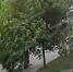 Парень на электоскутере сбил 4-летнюю девочку во дворе и  скрылся - TV-Gubernia.Ru