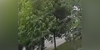Парень на электоскутере сбил 4-летнюю девочку во дворе и  скрылся - TV-Gubernia.Ru
