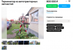 250-киллограммовый терминатор со светящимися глазами появился в воронежской глубинке