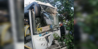 В ДТП с автобусом пострадали 7 человек в Воронеже - Обозреватель.Врн