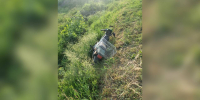 Под Воронежем в ДТП с Kia Rio погиб водитель мопеда - ГТРК Воронеж