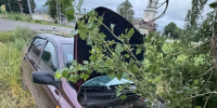 Две девочки попали в больницу после поездки с молодым водителем в Воронежской области - МОЁ! Online