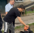 Местному жителю предъявлено обвинение в причинении телесных повреждений, повлекших смерть знакомого - Следственный комитет