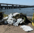 Со дна Воронежского водохранилища достали тележку, электросамокат и гору покрышек - Комсомольская Правда