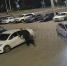 В душе романтик: лишенный внимания воронежец украл царицу цветов - Bloknot-Voronezh.Ru