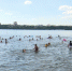 В Воронеже будут штрафовать купающихся в неположенных местах горожан - ГТРК Воронеж