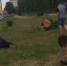 Массовая драка между девушками и парнями произошла в Воронежской области - МОЁ! Online