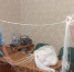 Острогожские волонтеры передали бойцам СВО масксети и домашнюю выпечку - РИА Воронеж