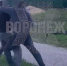 Побоище с участием подростков в воронежском микрорайоне попало на видео - МОЁ! Online
