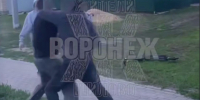 Побоище в воронежском микрорайоне привлекло внимание главы СК Бастрыкина - МОЁ! Online