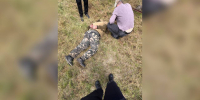 Полицейского уволят из органов после поджога трансформатора в Воронежской области - ГТРК Воронеж